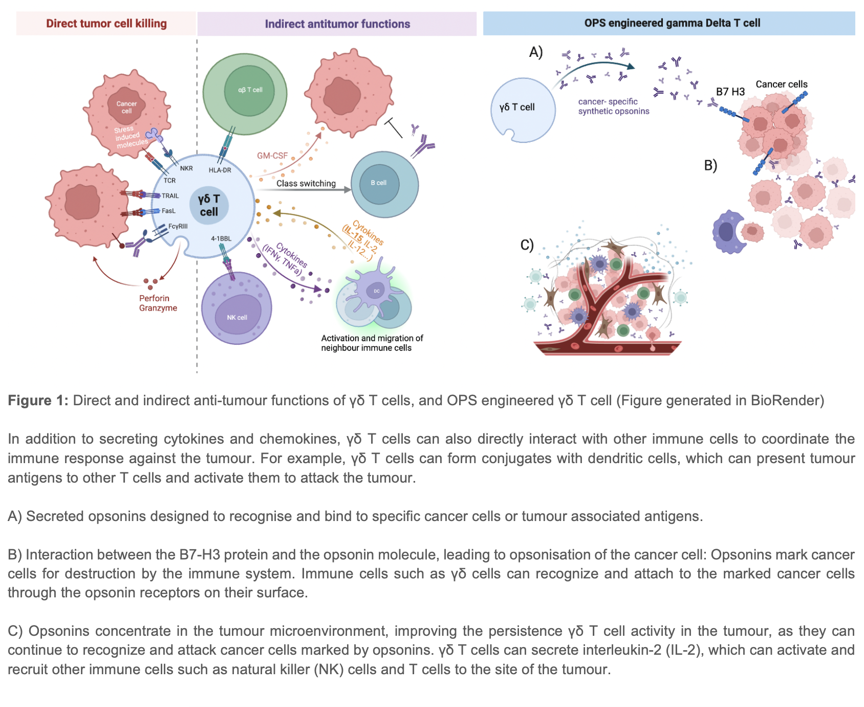 Adoptive Immunotherapy In Bone Metastases