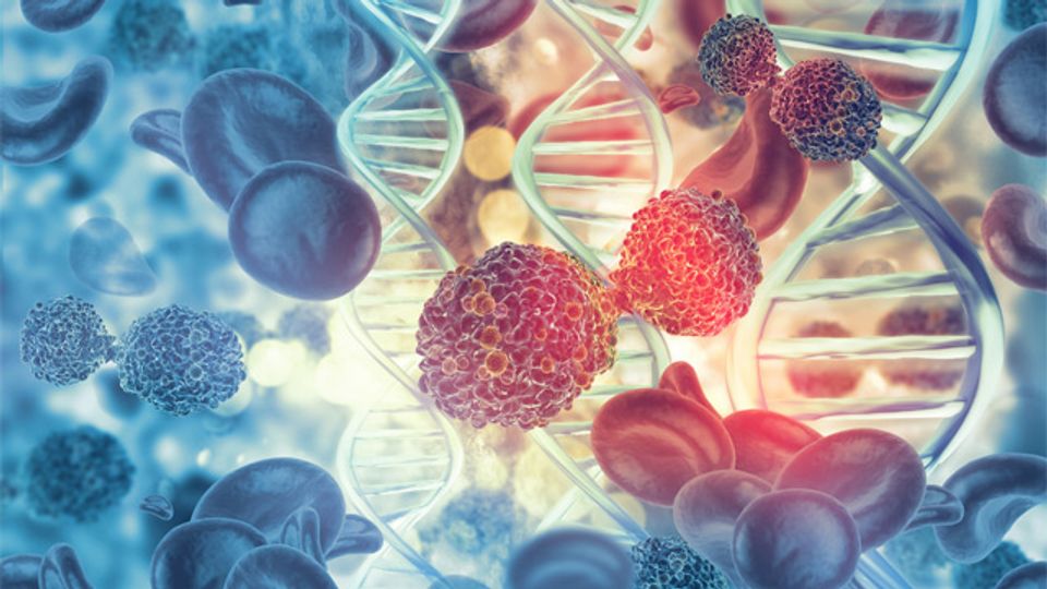 Targeted clearance of senescent-cells with CAR-T